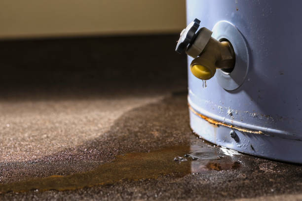 Best Water damage contractors near me  in Wheeler Af, HI