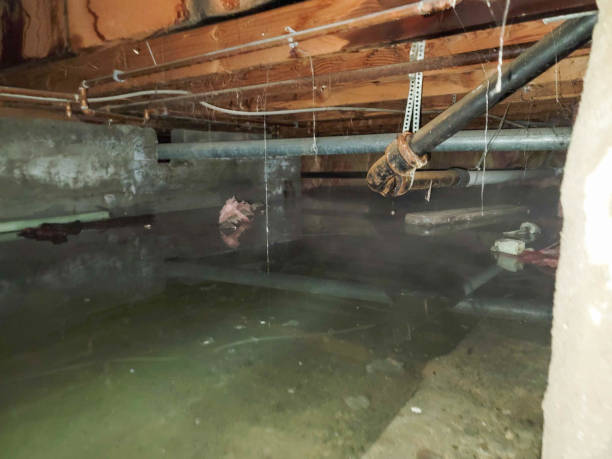 Local water damage restoration in Wheeler Af, HI