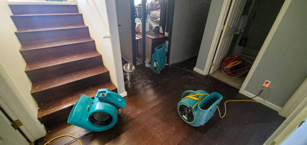 Best Water damage cleanup near me  in Wheeler Af, HI