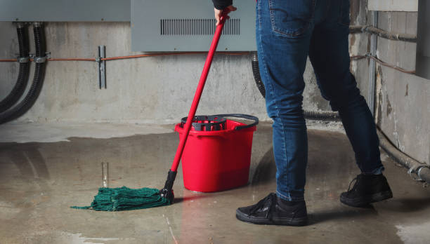 Best Ceiling water damage repair  in Wheeler Af, HI
