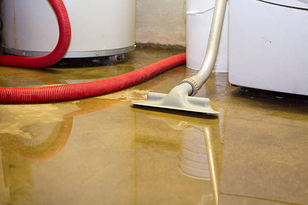 Best Water damage contractors near me  in Wheeler Af, HI