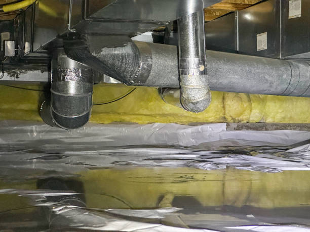Best Professional water damage repair  in Wheeler Af, HI