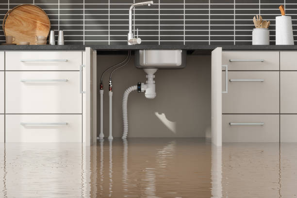 Best Emergency water damage restoration  in Wheeler Af, HI
