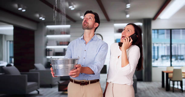 Best Fire Damage Restoration  in Wheeler Af, HI