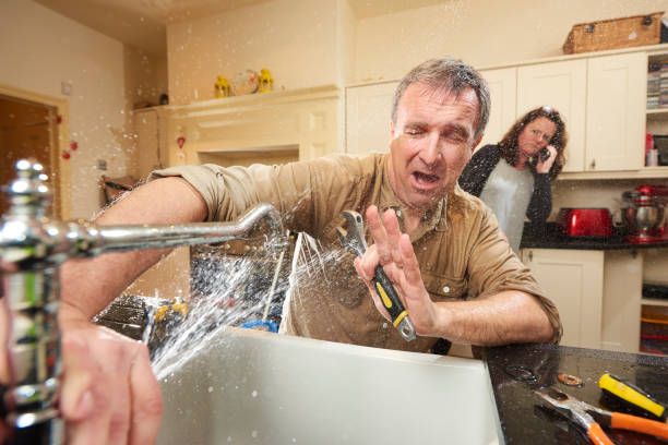 Best Residential water damage restoration  in Wheeler Af, HI